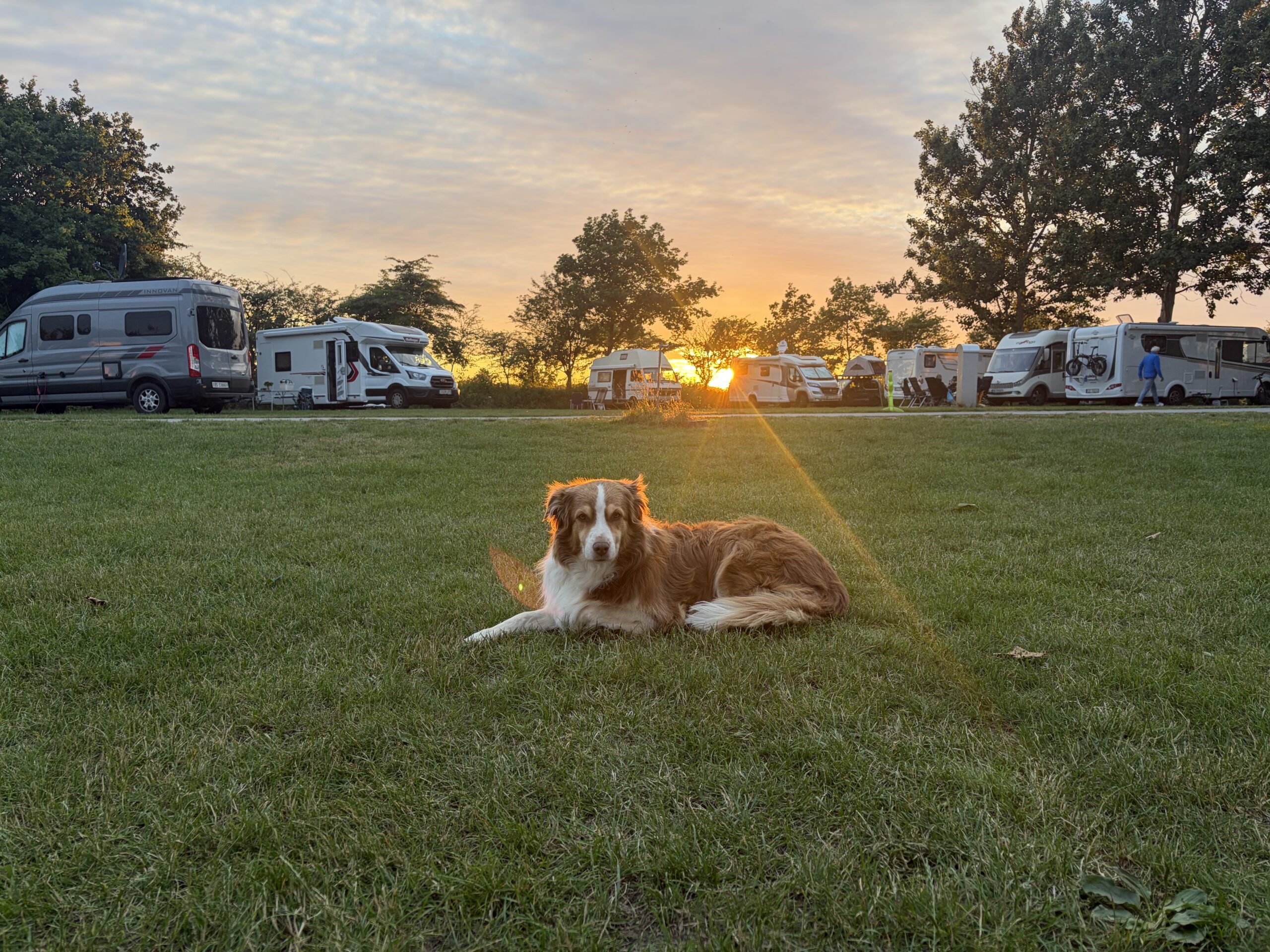 Tangloppen Camping, DK-Ishøj